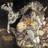 Never For Ever Kate Bush (Vinyl)