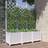 vidaXL Med Espalier 120x40x136 cm PP Hvid Plantekasse