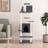 vidaXL dark grey Cat Tree with Scratching Posts Cat Scratch