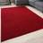 THE RUGS 200X290 Myshaggy Red