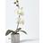 Homescapes Orchid Flowers White Artificial Plant