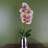 Leaf 46Cm Orchid Harlequin Artificial Plant