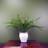 Leaf Bushy Fern Potted Green Artificial Plant
