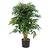 Leaf 90Cm Luxury Smilax Sarsaparilla Ficus Tree Artificial Plant