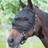 Harrys Horse Grime med fluemaske Full