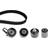 INA Timing Belt Kit 530050910