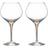 Orrefors Intermezzo Bouquet Gold Vinglas 69.5cl 2stk