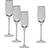 Modern House Soft Champagneglas 22cl 4st