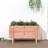 vidaXL højbed 101x50x57 massivt douglasgran Plantekasse