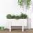 vidaXL plantekasse 62x30x38 massivt fyrretræ Plantekasse