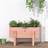 vidaXL plantekasse 62x30x38 massivt douglasgran Plantekasse