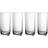 Villeroy & Boch Rose Garden long Drinking Glass 30cl