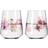 Ritzenhoff Sommersonett Dricksglas 51cl 2st
