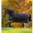 Horseware Outdoordecke Amigo Bravo Plus 1200 250g Schwarz-blau in Schwarz-blau schwarz-blau, cm