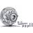 FAG Wheel Bearing Kit 713 6063 40