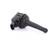 Delphi GN10334-12B1 Ignition Coil