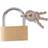 Blackspur Padlock With Keys