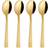 Aida Raw Dessert Spoon 4pcs