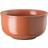 Rosenthal Nature Coral Dessertschale