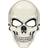 Amscan Day of the Dead Maske