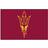 Fanmats NCAA Arizona State Multicolour 48.3x76.2cm