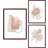 House Nordic Aspen Ramme 3stk