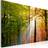 Artgeist A Calm Sutumn Forest Billede