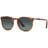 Persol Polarized PO3316S 96/S3 - Terra Di Siena