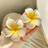 Shein 2pcs Women Flower Alligator Hair Clip