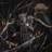 Worm Shepherd: Ritual Hymns (CD)