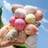 Shein Beauty Makeup Sponges - Random Gourd/Water Drop Shape - Color