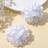 Shein 2pcs Girls Flower Decor Alligator Hair Clip