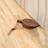 Shein 1pc Leaf Shaped Door Stop, Door Stopper