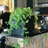 Squarely Copenhagen SQUARELY CPH GrowON Plantekasse Krukke