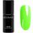 Neonail You're a Goddess Gel neglelak Skygge What I Want