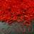 Shein 1000 Pcs Red Color Elastic Hair Bands