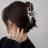 Shein 1pc Women Hollow Out Irregular Fashionable Hair Claw