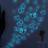 Shein Glow Butterfly Wall Decals Blue Luminous