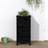 vidaXL Garden Planter Black 40x40x78 Solid Wood Pine