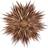Watt & Veke Maja Gold Advent Star ∅ 60cm