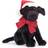 Jellycat Winter Warmer Pippa Black Labrador 22cm