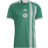 Adidas Men's Green Algeria National Team 2022/23 Away Replica Jersey