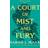 A Court of Mist and Fury (Hæftet, 2020)