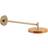 Umage Asteria Nuance Orange Wall light ∅ 15cm