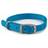 Ancol Viva Buckle Dog Collar 2 26-31cm