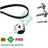 INA Timing Belt Kit 530019710