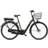 Batavus Luca LX-D 48 cm Grön