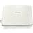 Morphy Richards Hive 2 Slice Toaster Cream