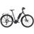 Trek Allant+ 6 Lowstep 545wh Galactic Damcykel