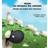 Bruno au royaume des moutons - Bruno no reino das ovelhas (Hardcover, 2020)